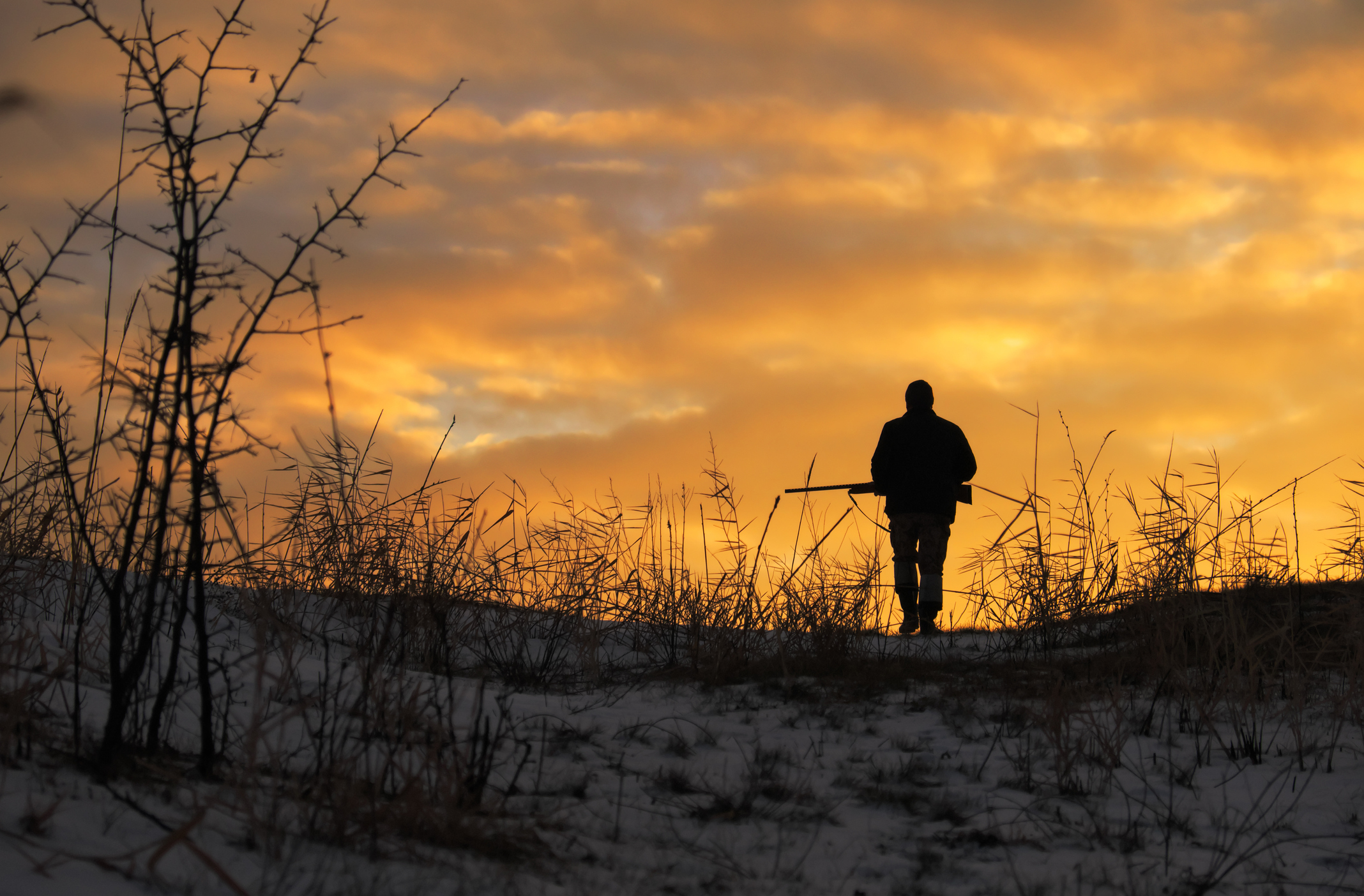 Main Causes of Hunting Incidents