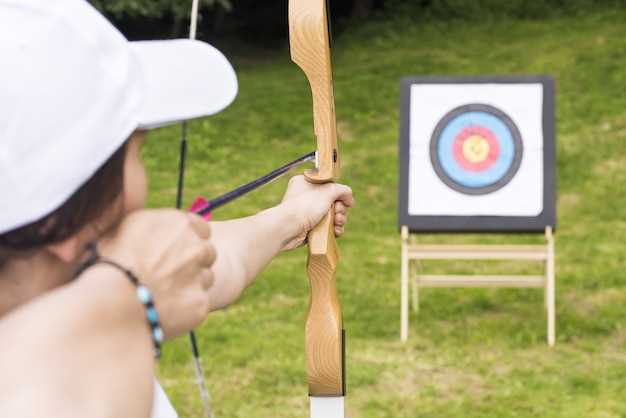 Best Budget Arrows for Practice and Hunt