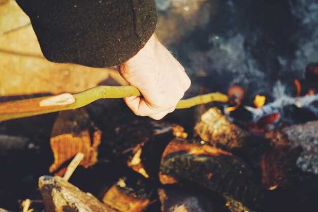 Selecting the Right Location for Your Fire Pit