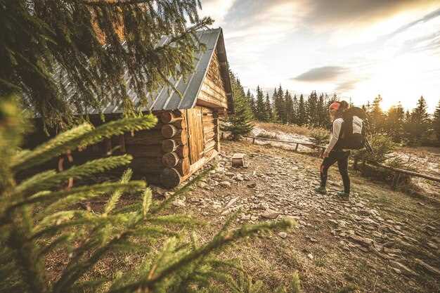 Techniques for Constructing a Weather-Resistant Shelter