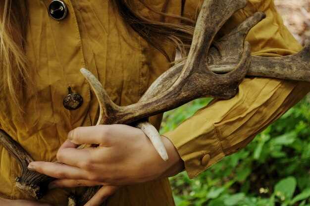 Timing Your Decoy Use for Peak Deer Activity