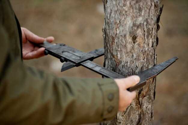 Selecting the Right Location for Your Ground Blind