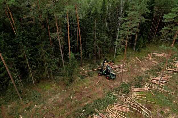 Maximizing Shot Angles for Successful Hunts