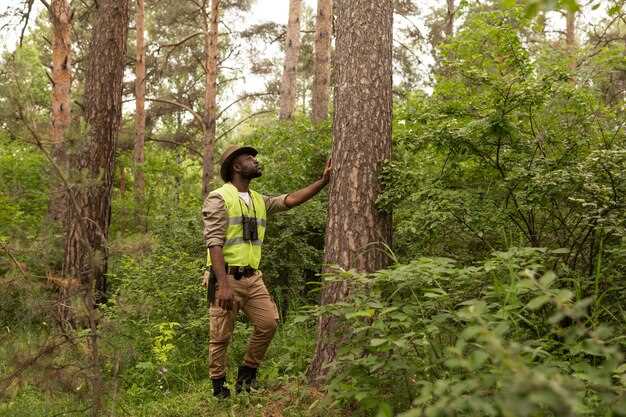 Hunting in Dense Forests vs Open Fields