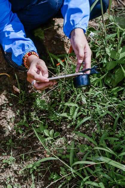 Identifying Key Edible Plants in Various Environments