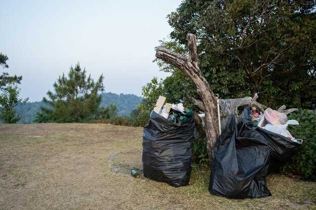 Managing Waste and Trash in Remote Areas