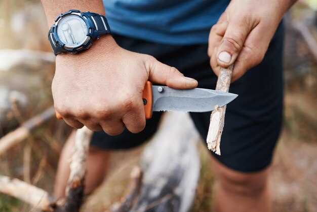 Maintaining and Storing Sharpened Broadheads