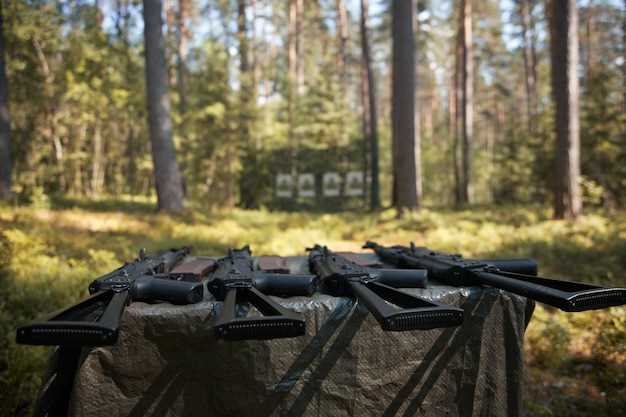 Top Features to Consider When Choosing Broadheads for Deer