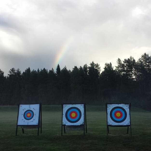 Top Archery Targets for Backyard Practice