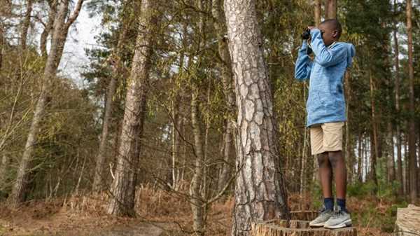 How to Choose the Best Night Vision Monocular for Bowhunting