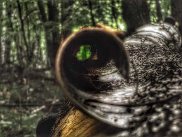 Top 5 Night Vision Monoculars for Hunting in 2025